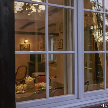 Silva Guest House - Dom Wczasowy, Tenis, Basen, Balia I Sauna Борськ Екстер'єр фото