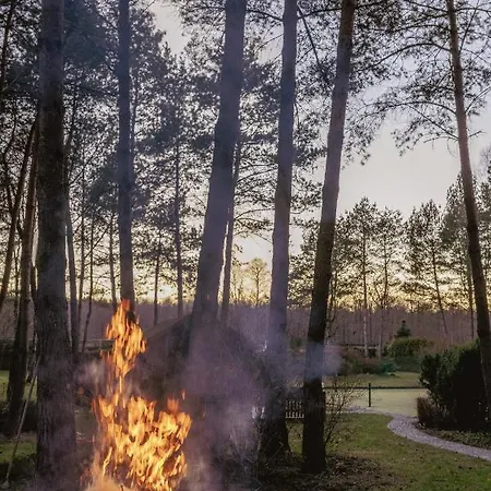 Silva Guest House - Dom Wczasowy, Tenis, Basen, Balia I Sauna Борськ Екстер'єр фото